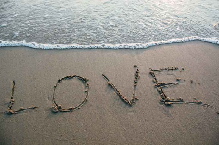 beach coast island landscape